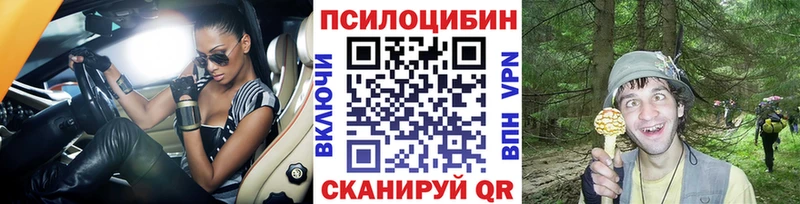 Купить где  Фёдоровский  Галлюциногенные грибы MAGIC MUSHROOMS 